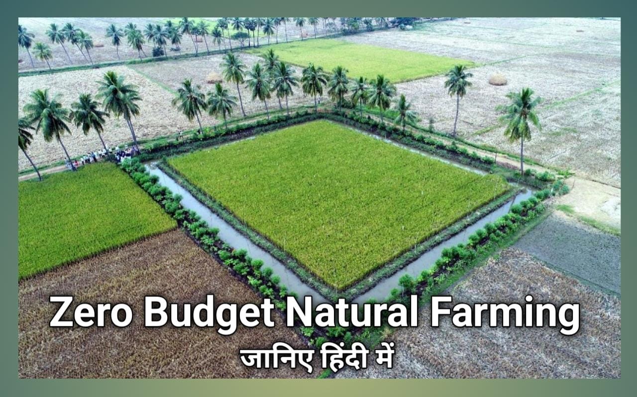 Zero Budget Natural Farming UPSC -