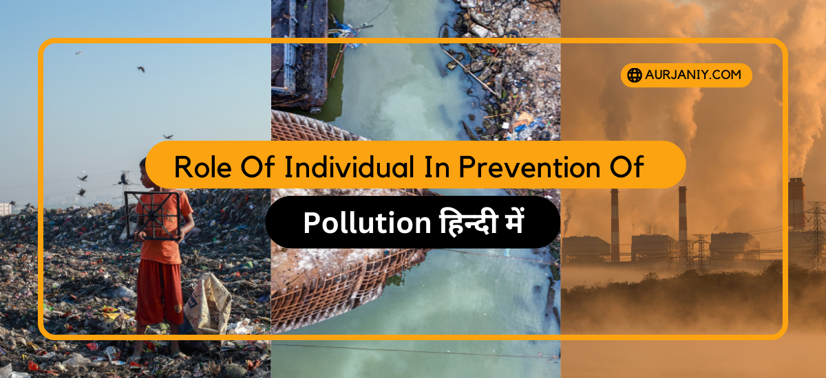 Role Of Individual In Prevention Of Pollution In Hindi